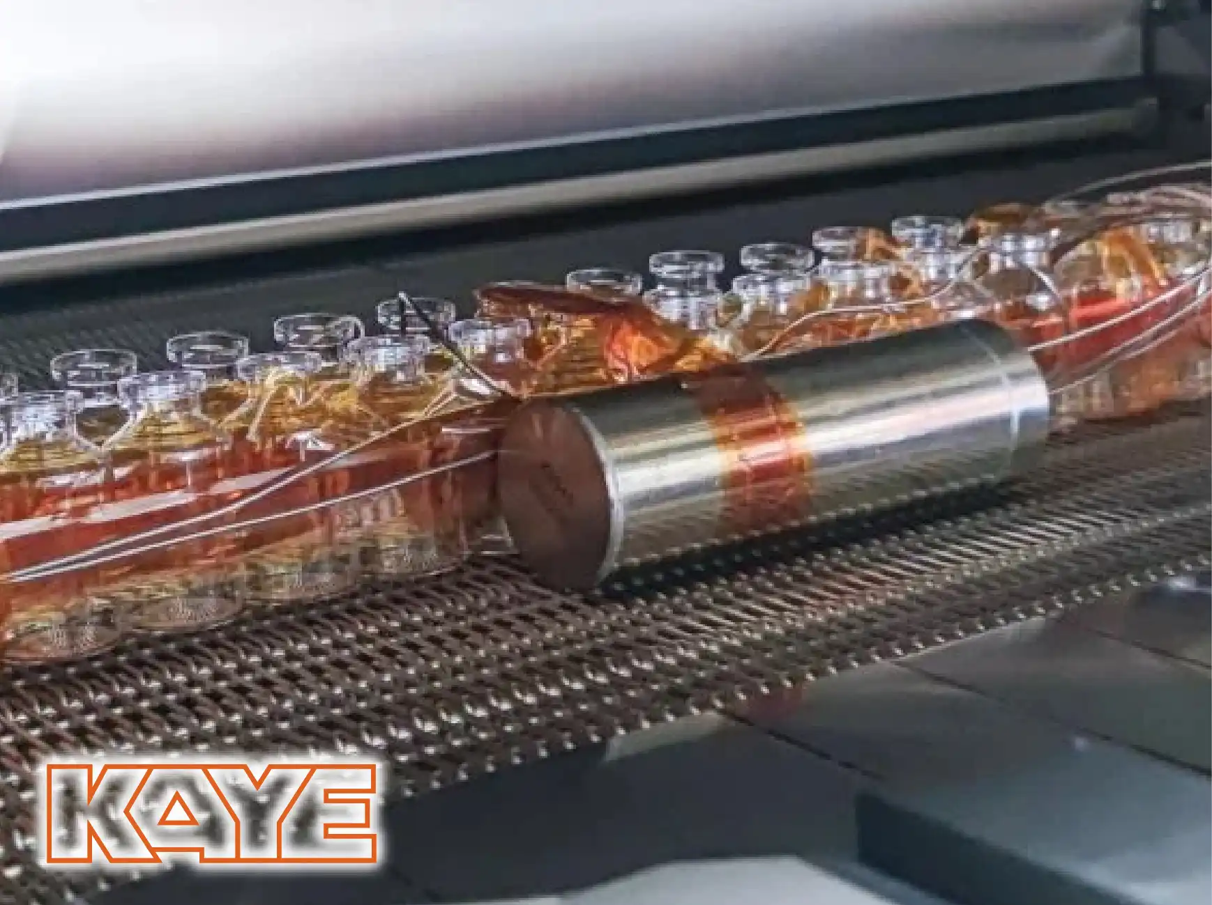 KAYE Wireless (RF) ValProbe RT System.